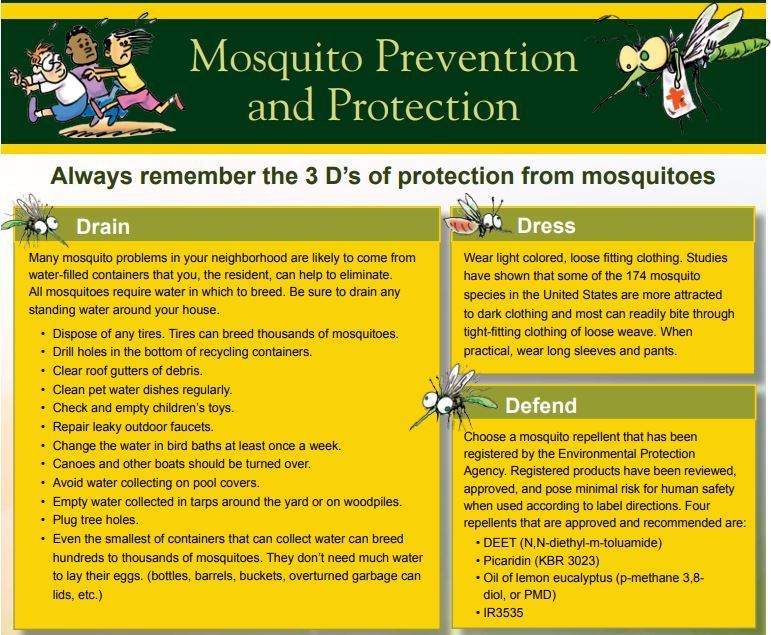 mosquito prevention