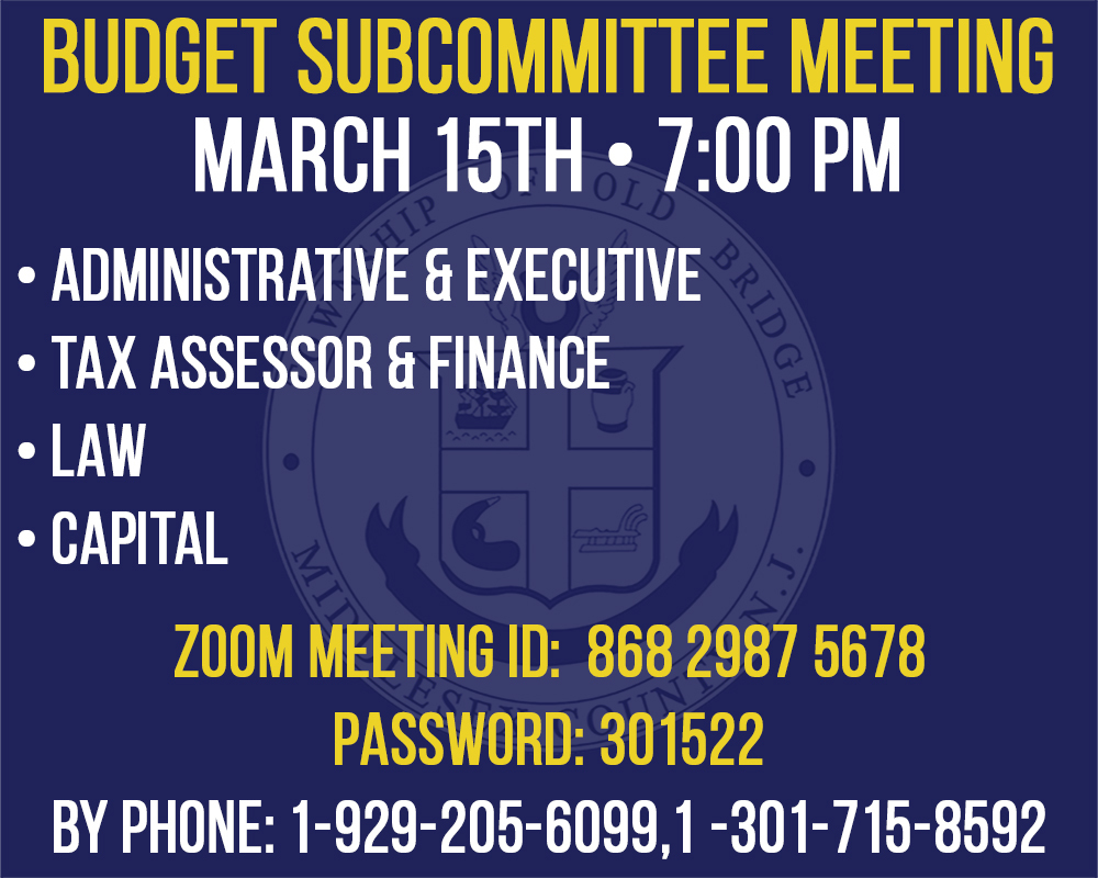 March 15, 2021 Budget Subcommittee Meeting
