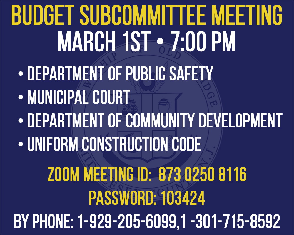 March 1, 2021 Budget Subcommittee Meeting