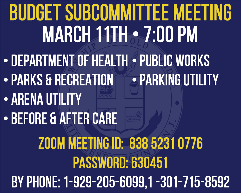 March 11, 2021 Budget Subcommittee Meeting
