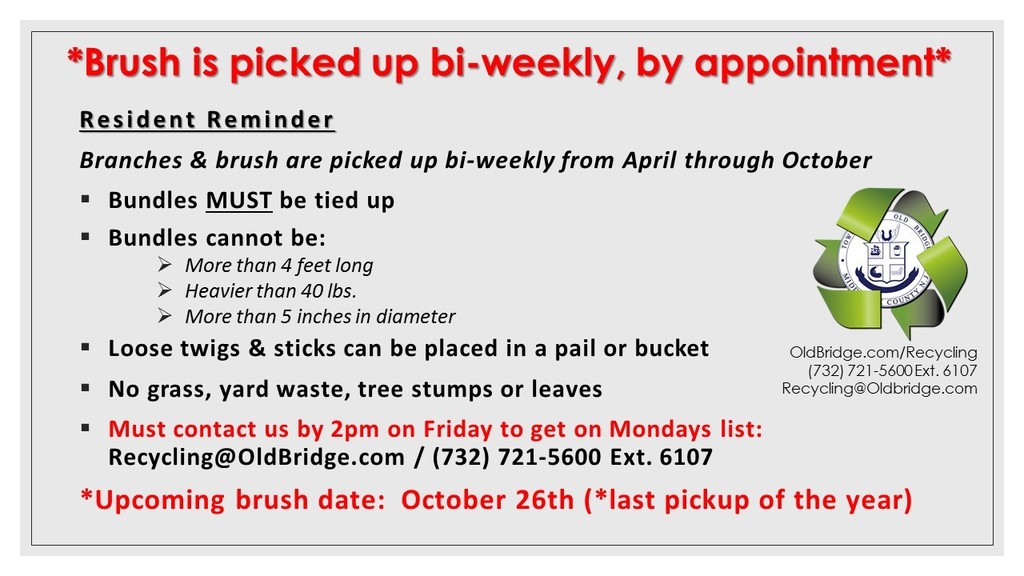 Brush Pickup Info