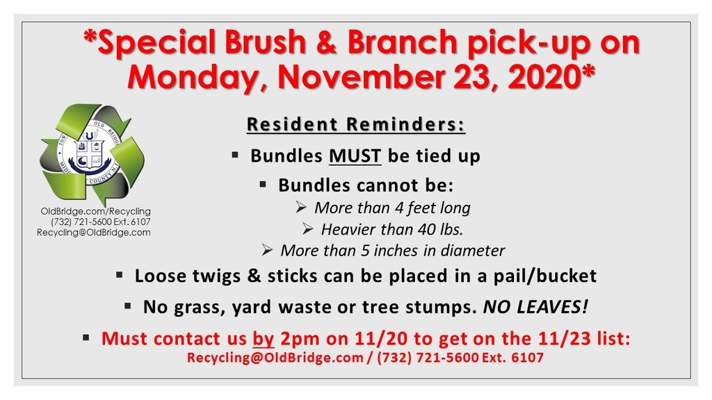 Recycling Reminder - Brush