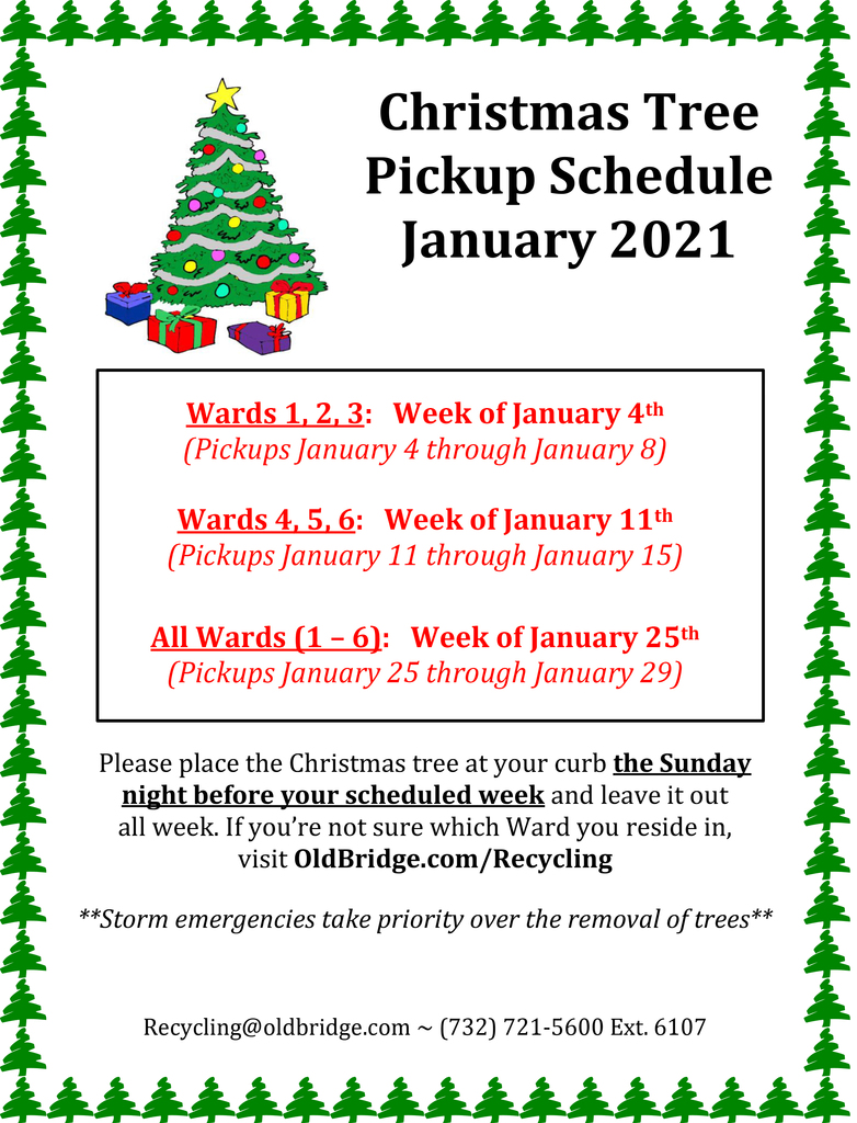 Christmas Tree Pickup